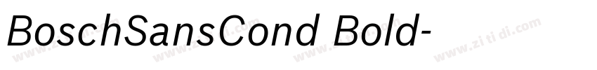 BoschSansCond Bold字体转换